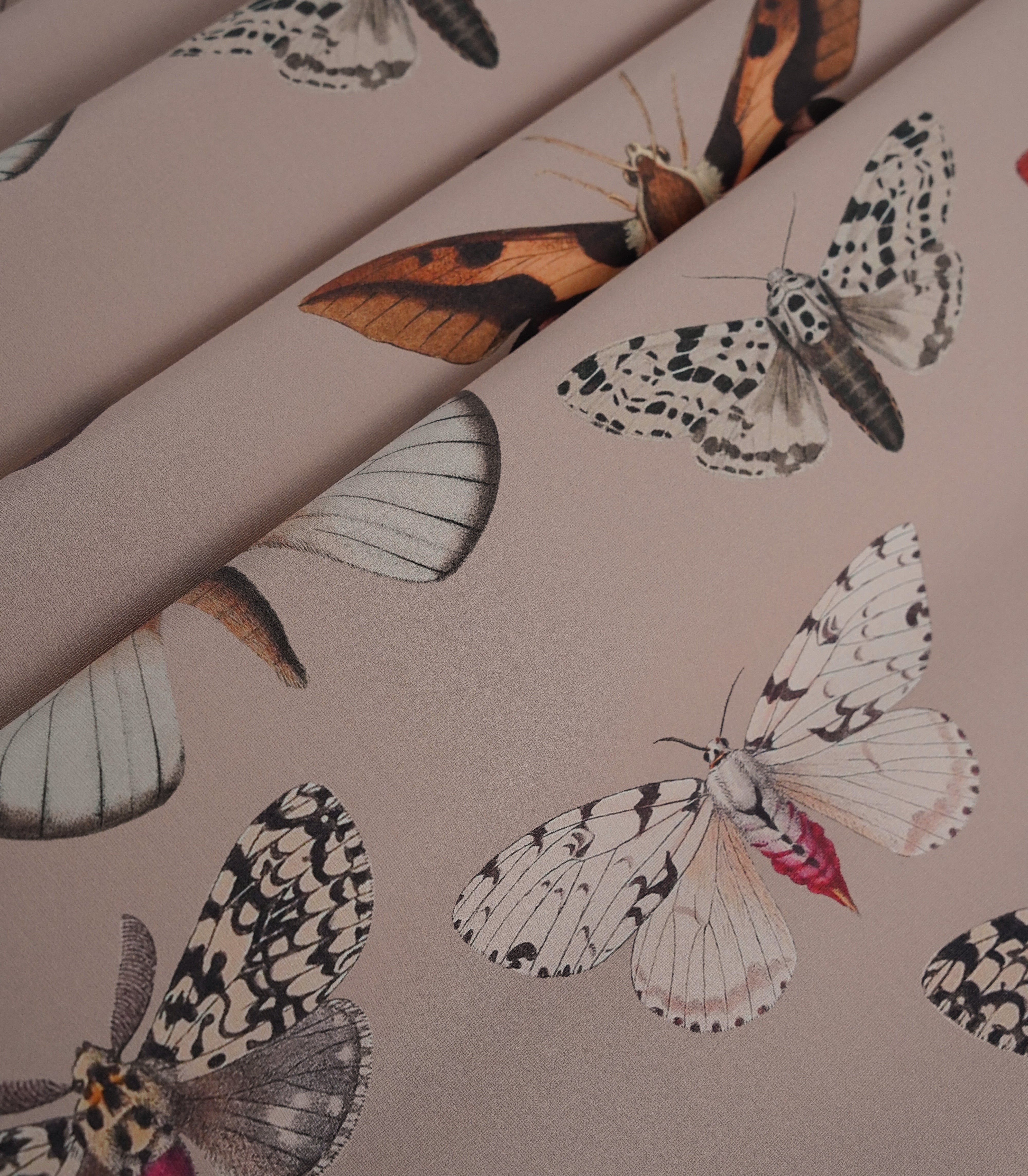 Carta da parati Colorful Butterfly Pink