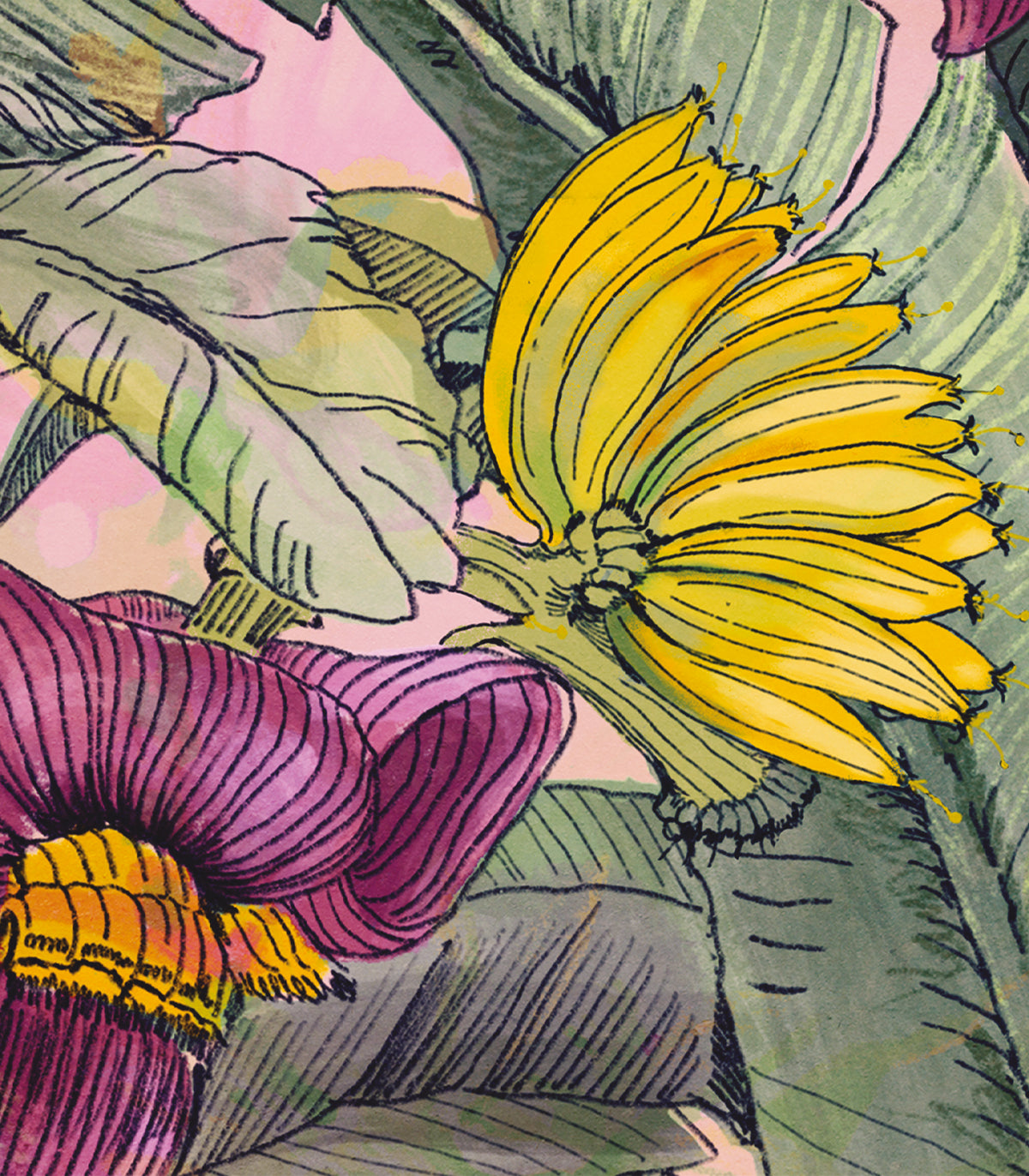 Tapeta Banana Tree - Wallcolors®