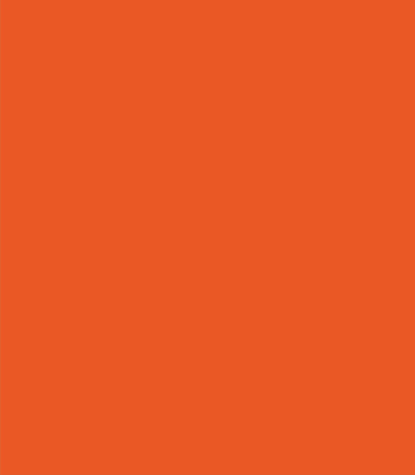 Arch Solid Bold Accents - Wallcolors®