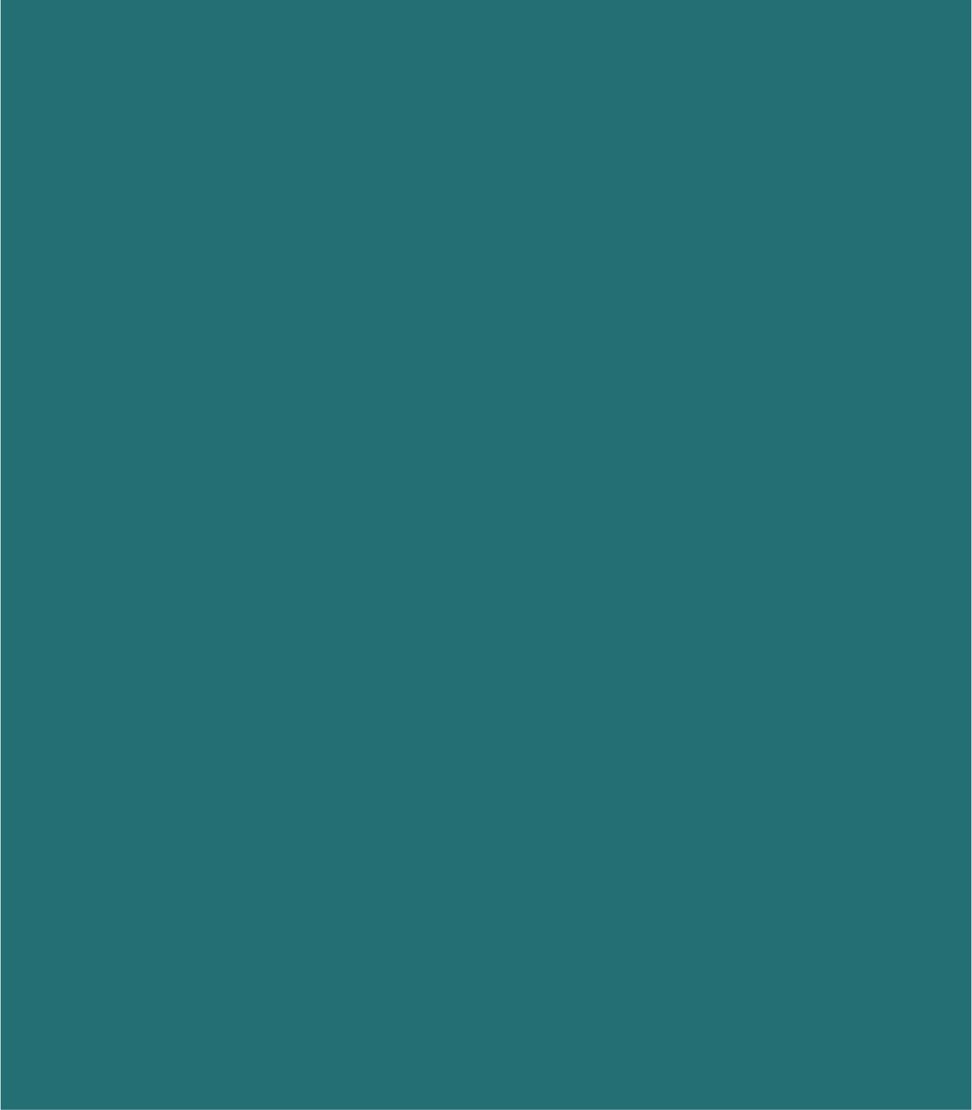 Arch Solid Bold Accents - Wallcolors®