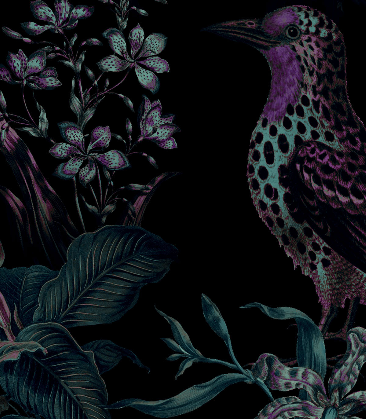 Tapeta Botanic Violet - Wallcolors®