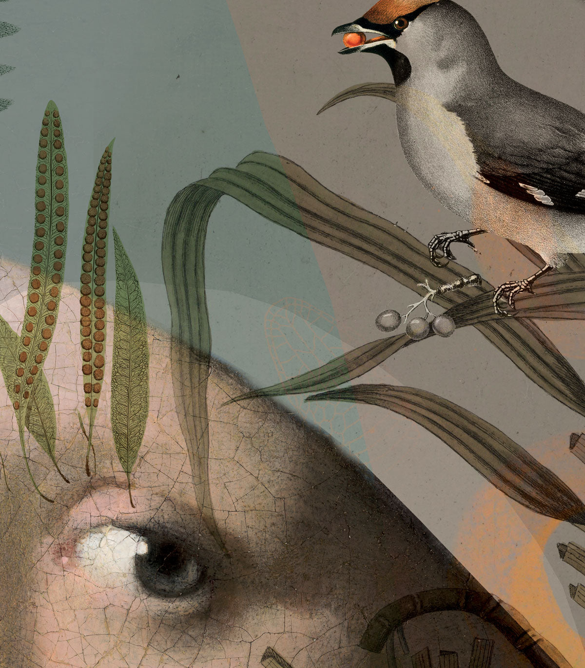 Tapeta Nature girl with the pearl