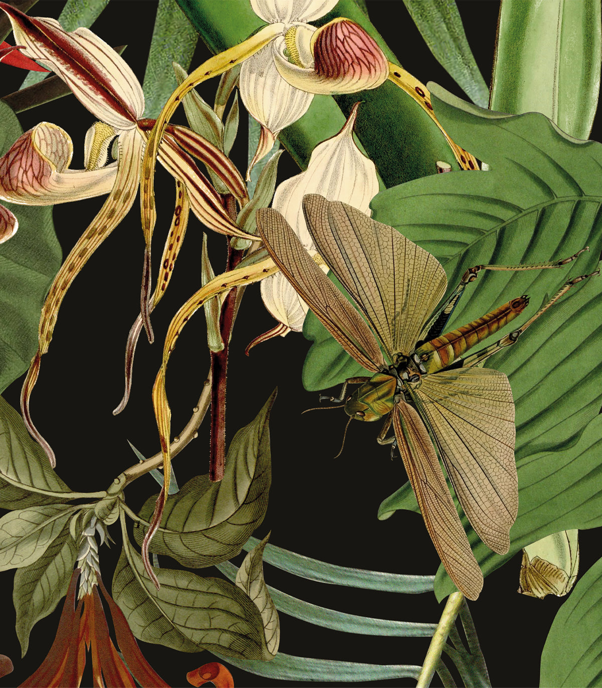 Tapeta Tropical Composition