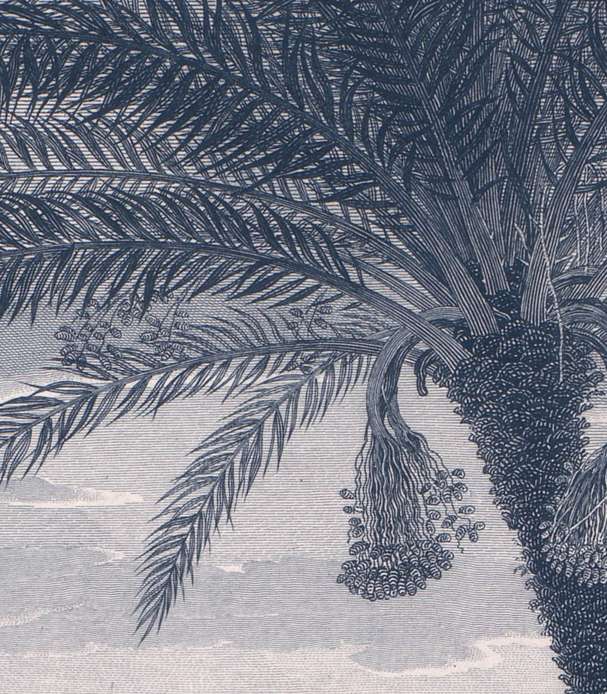 Tapeta Tropical Volcano Vista blue