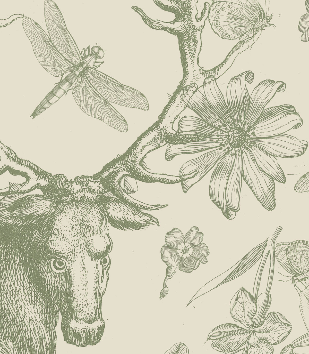 Tapeta Vintage botanic green