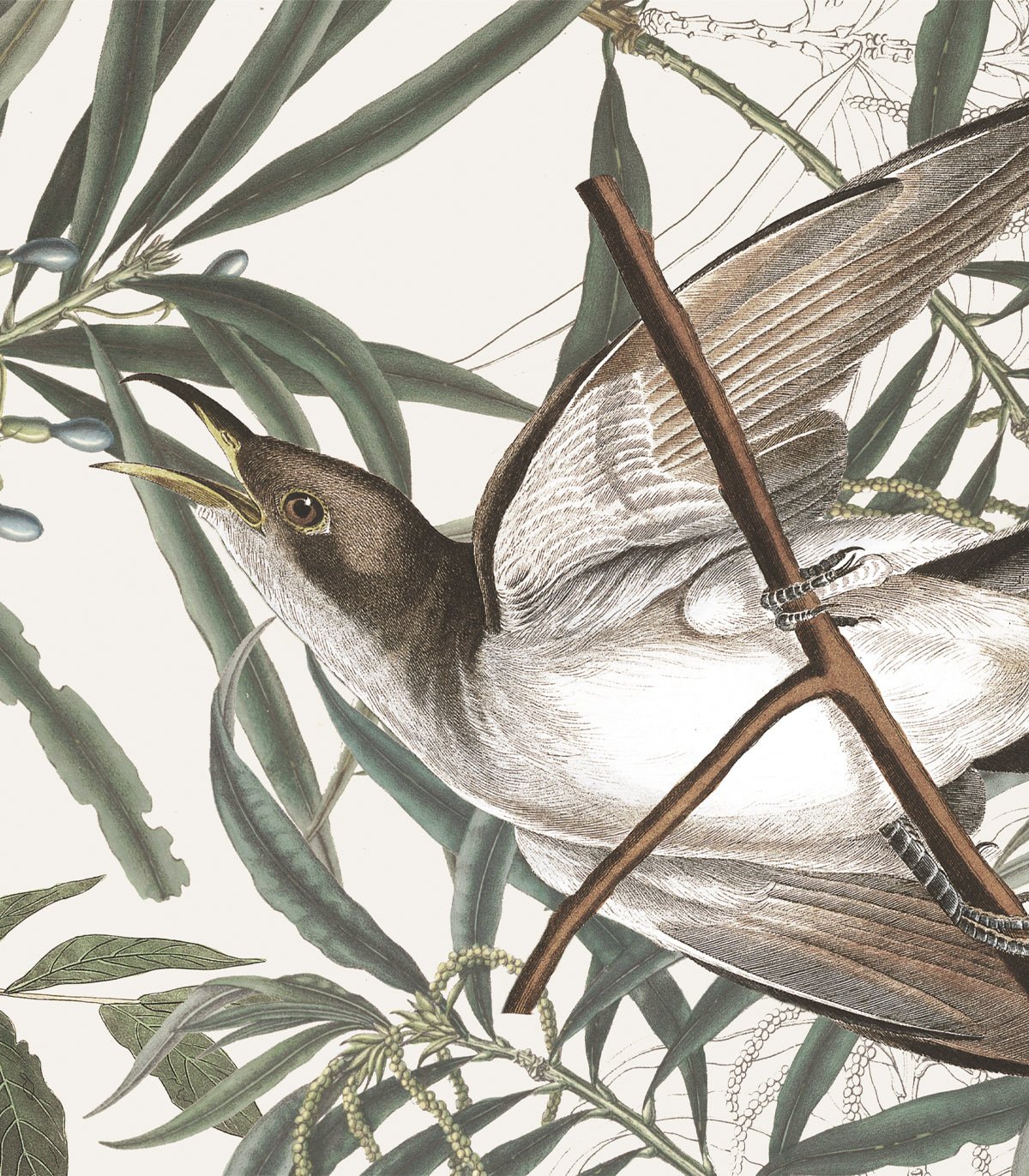Tapeta Wagtail - Wallcolors®