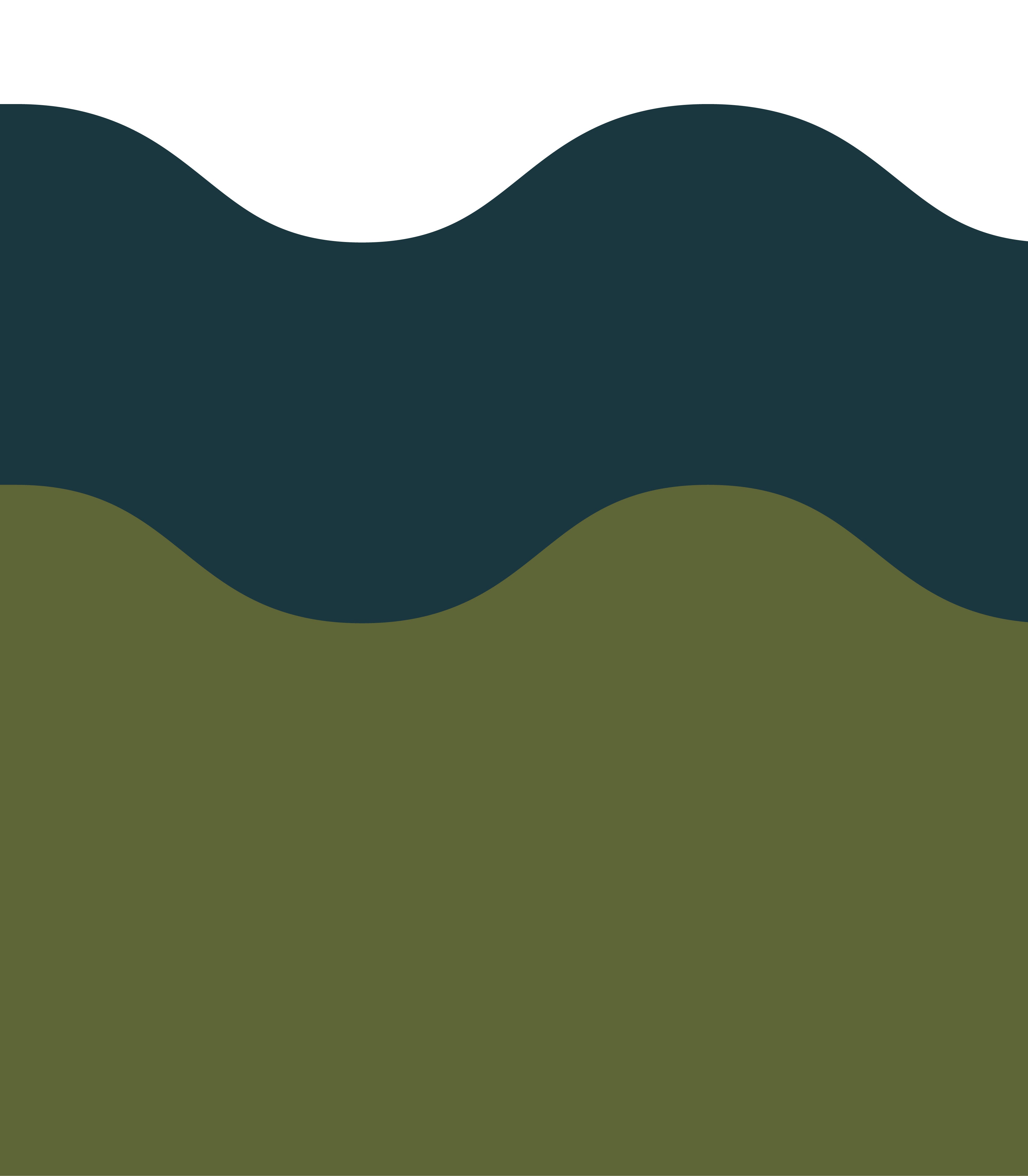 Wainscoting Double Wave Dark