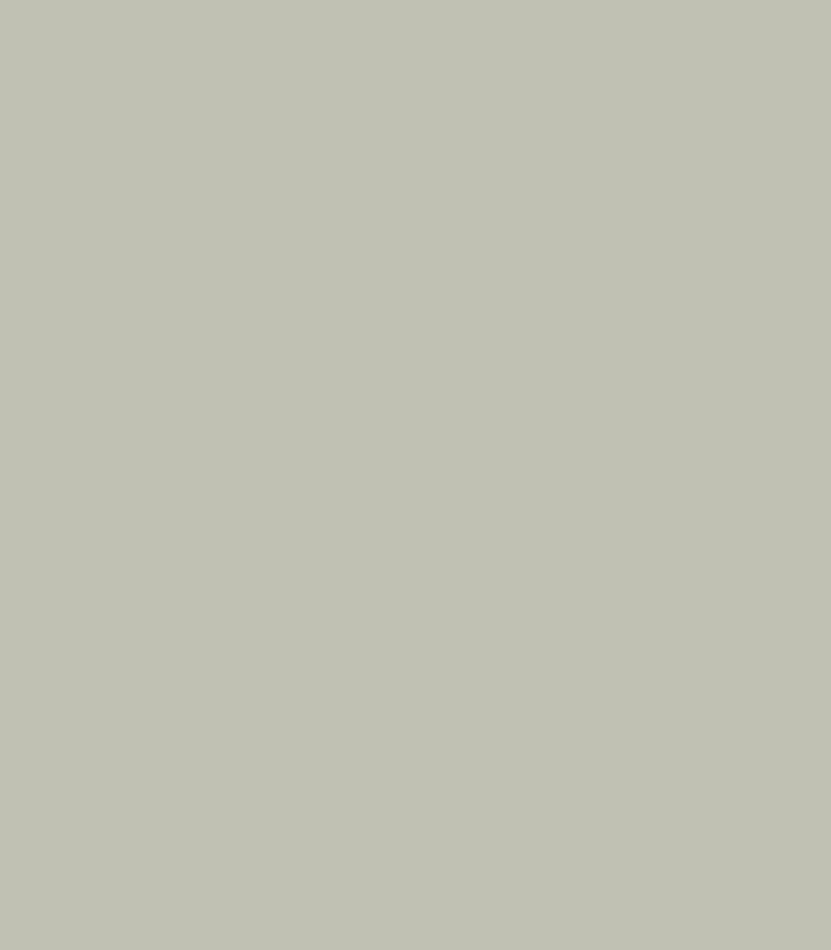 Horizon Gray 2141 - 50 - Wallcolors®