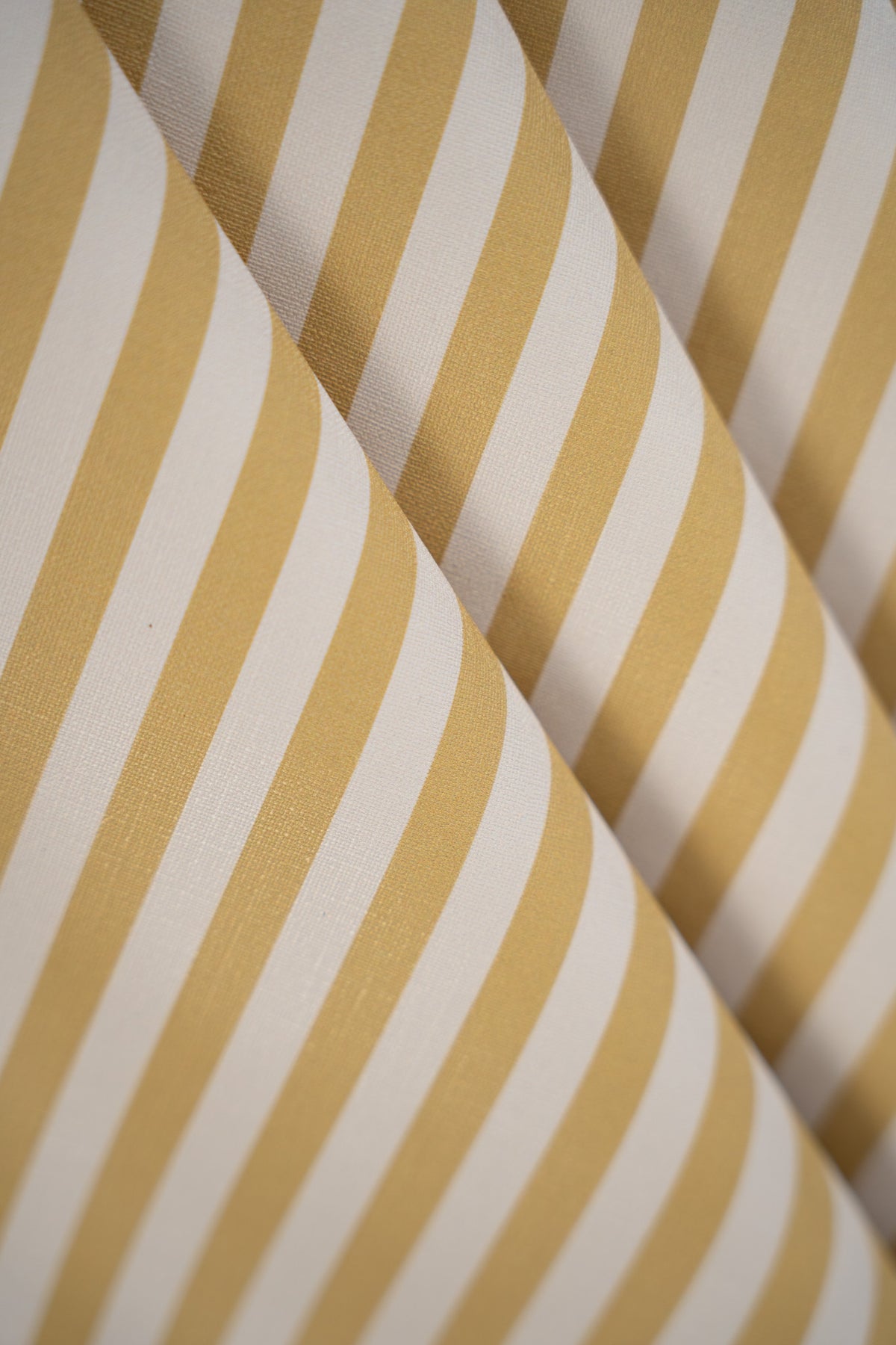 Carta da parati Stripe Meadow Mustard