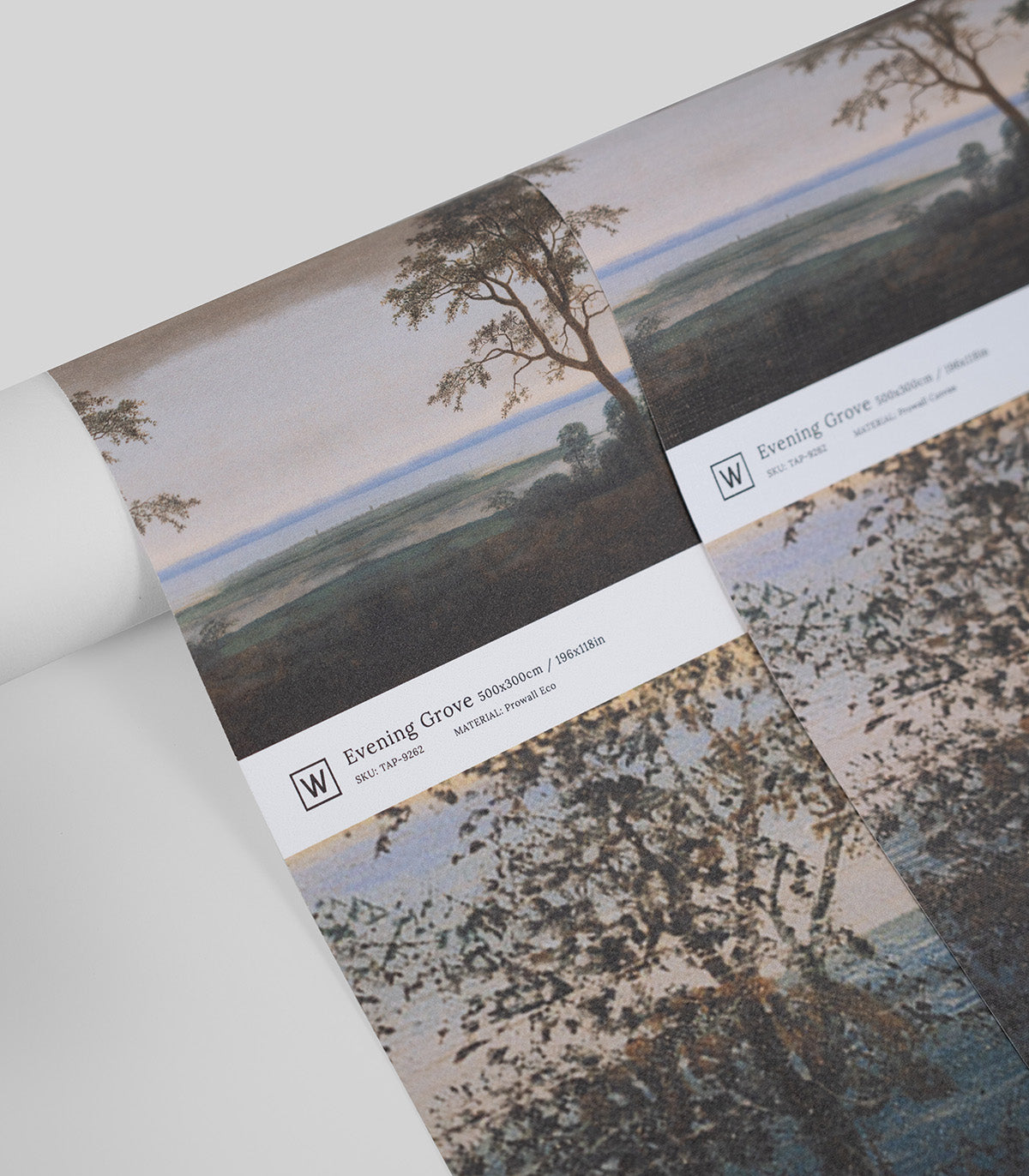 Tapeta Evening Grove