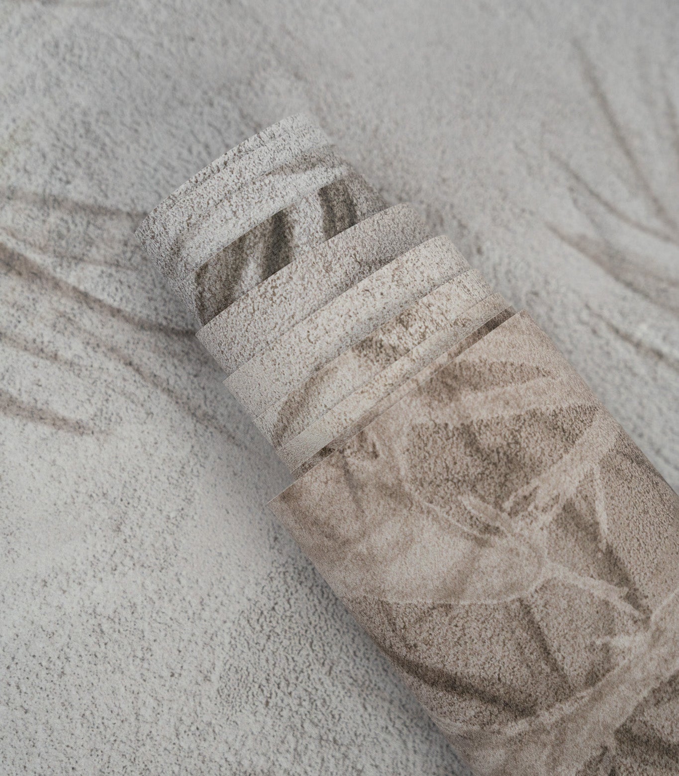 Tapeta Dry grass grey