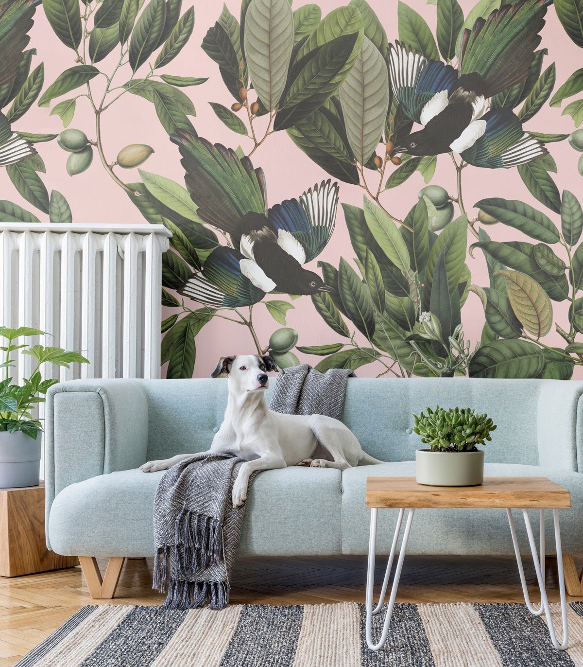 Tapeta Magpie Pink - Wallcolors®