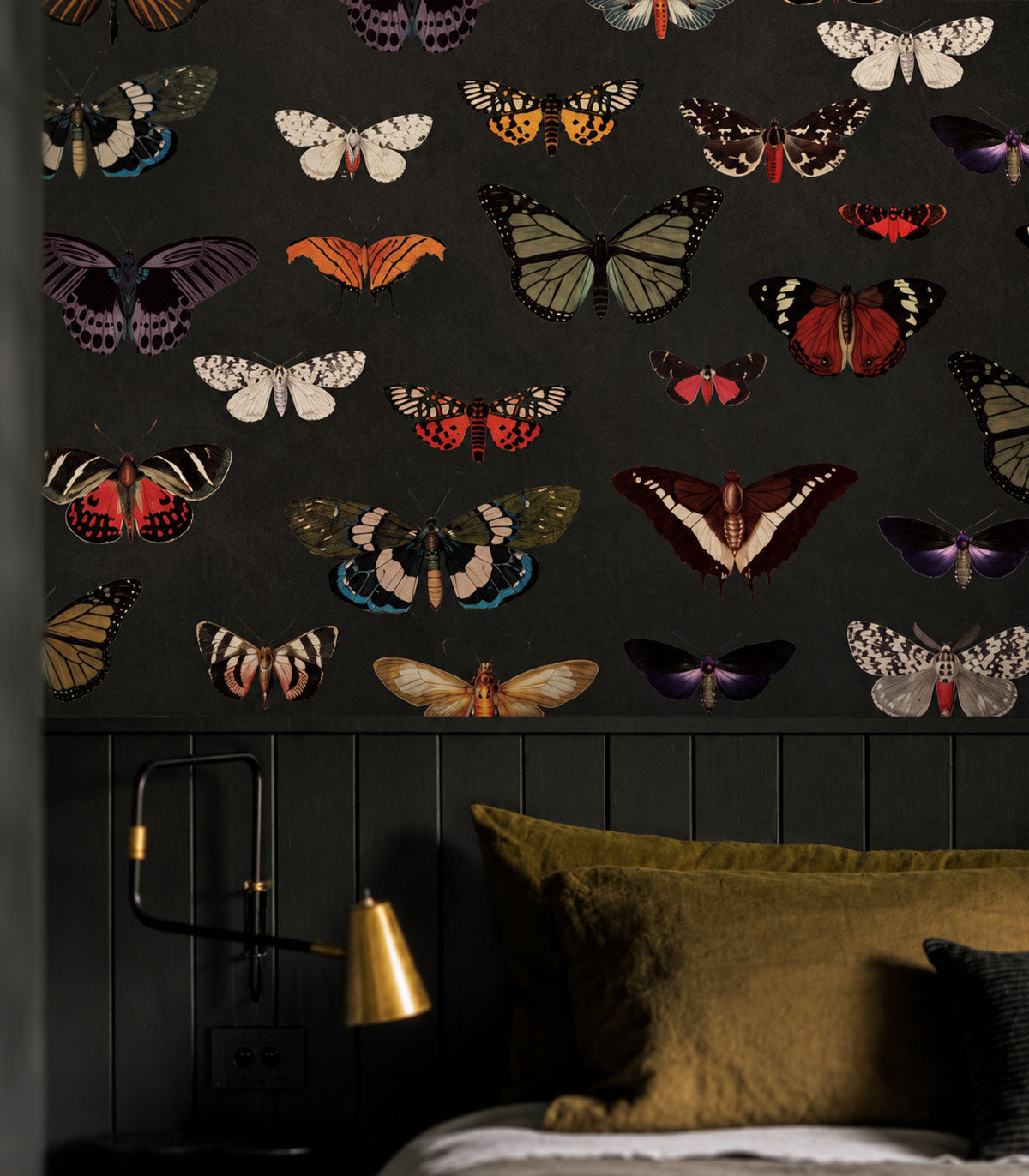 Carta da parati Colorful Butterfly Green
