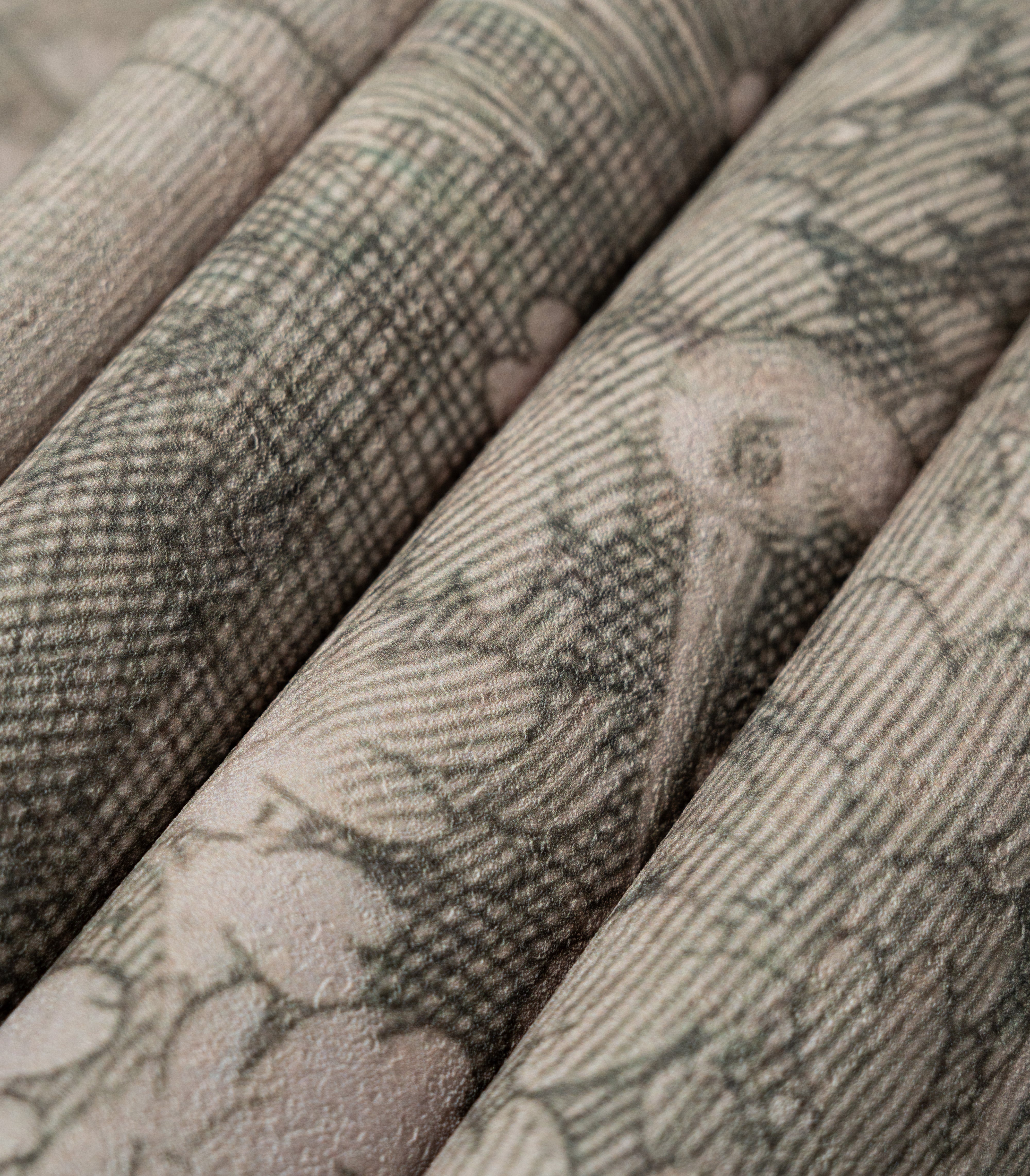 Tapeta Timeless Trees Green