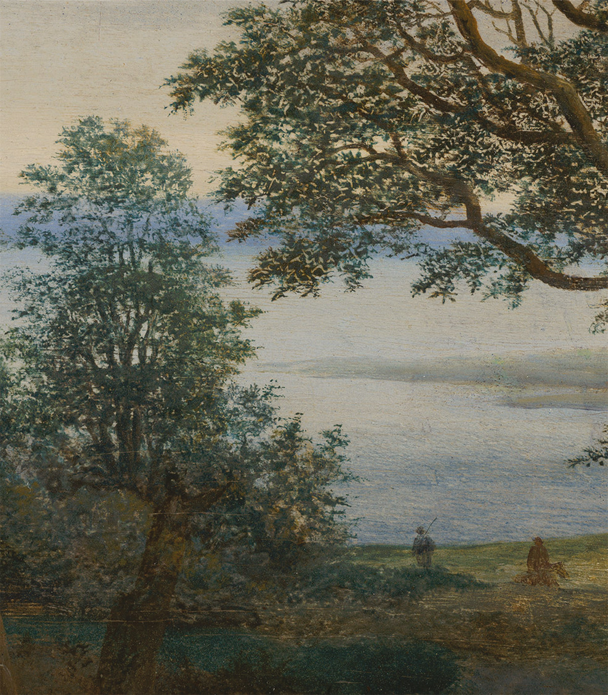 Carta da parati Evening Grove