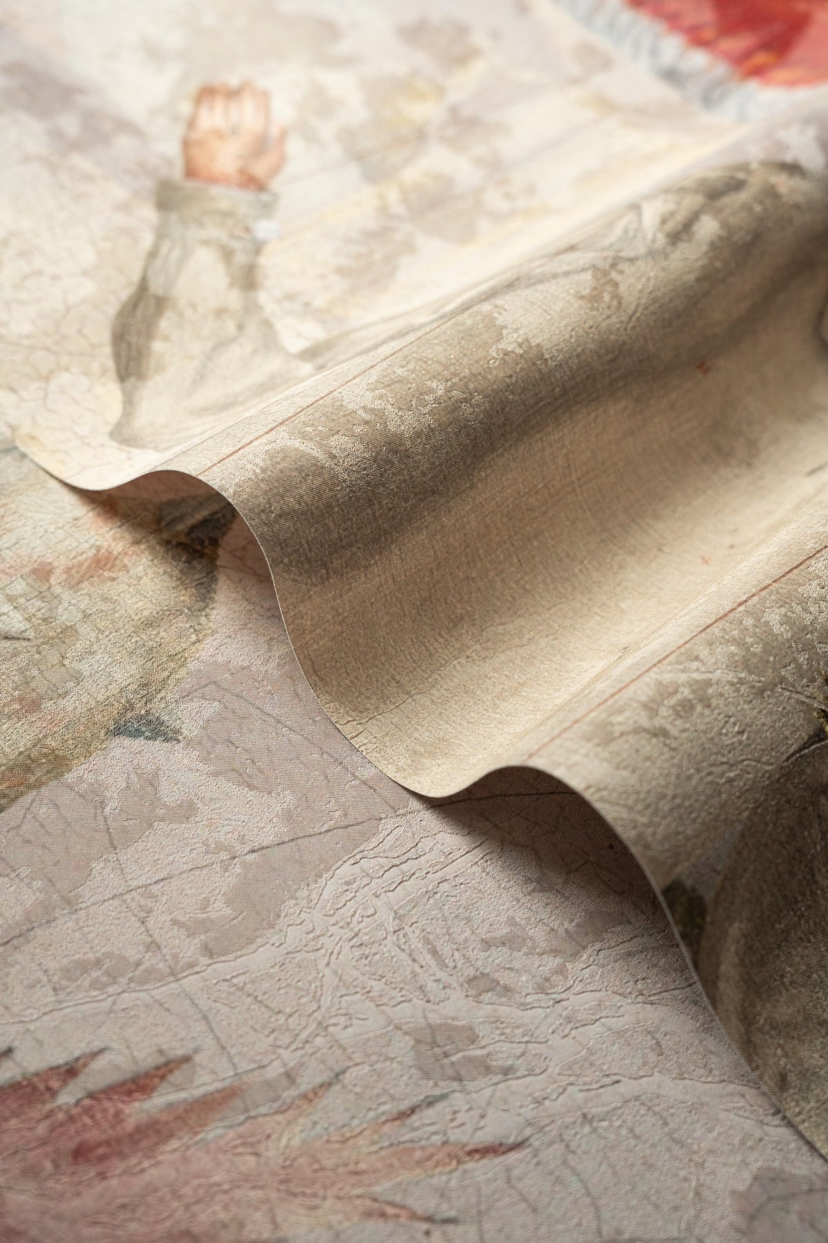 Carta da parati Forbidden Mushroom