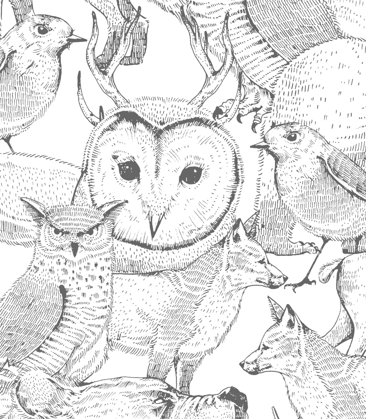 Tapeta Forest Friends Grey