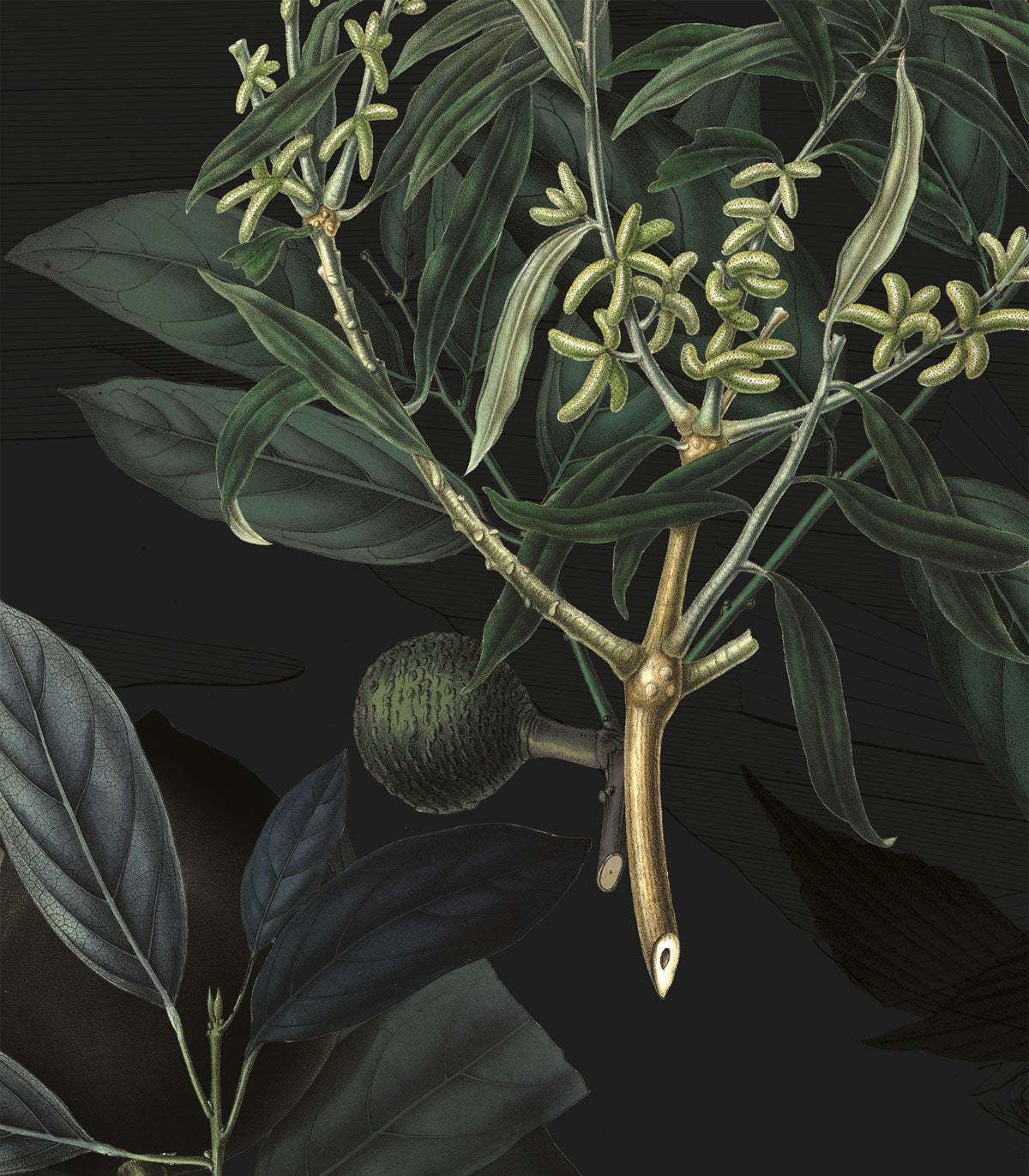 Tapeta Olive Branch Green