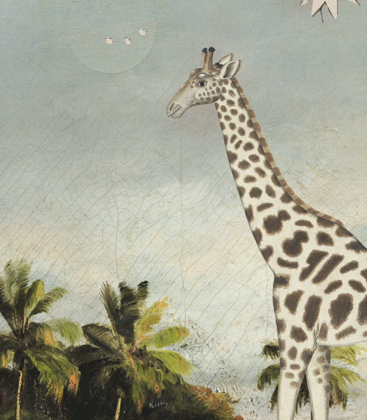 Tapeta Stardust safari