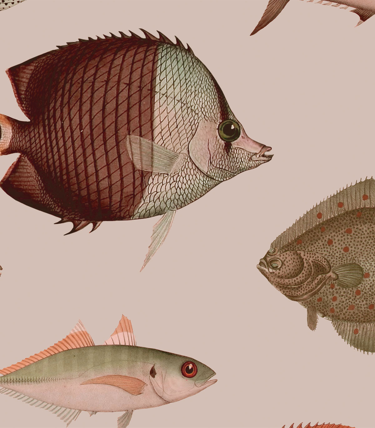 Tapeta Under the Sea Pink