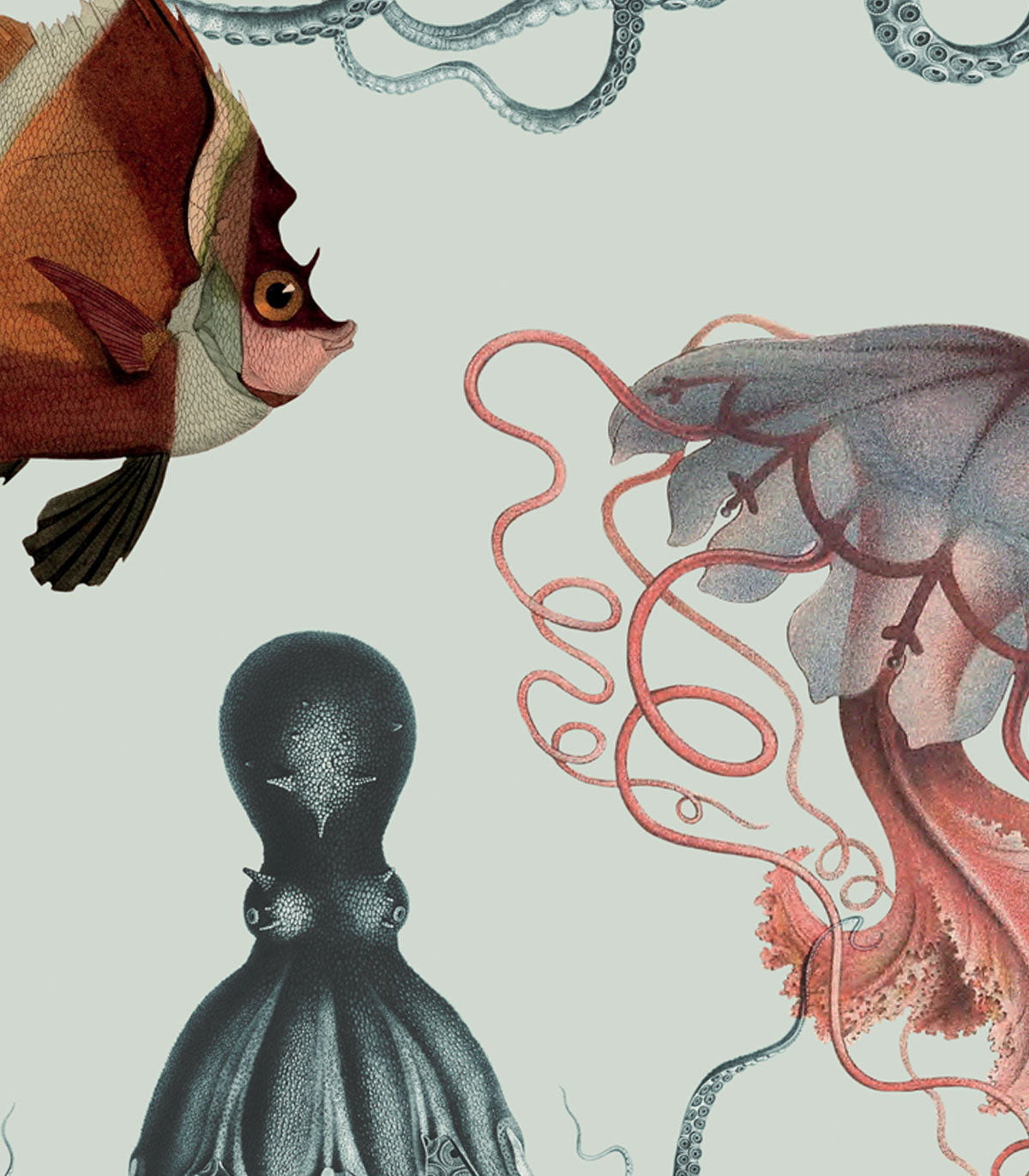 Tapeta Underwater World Light