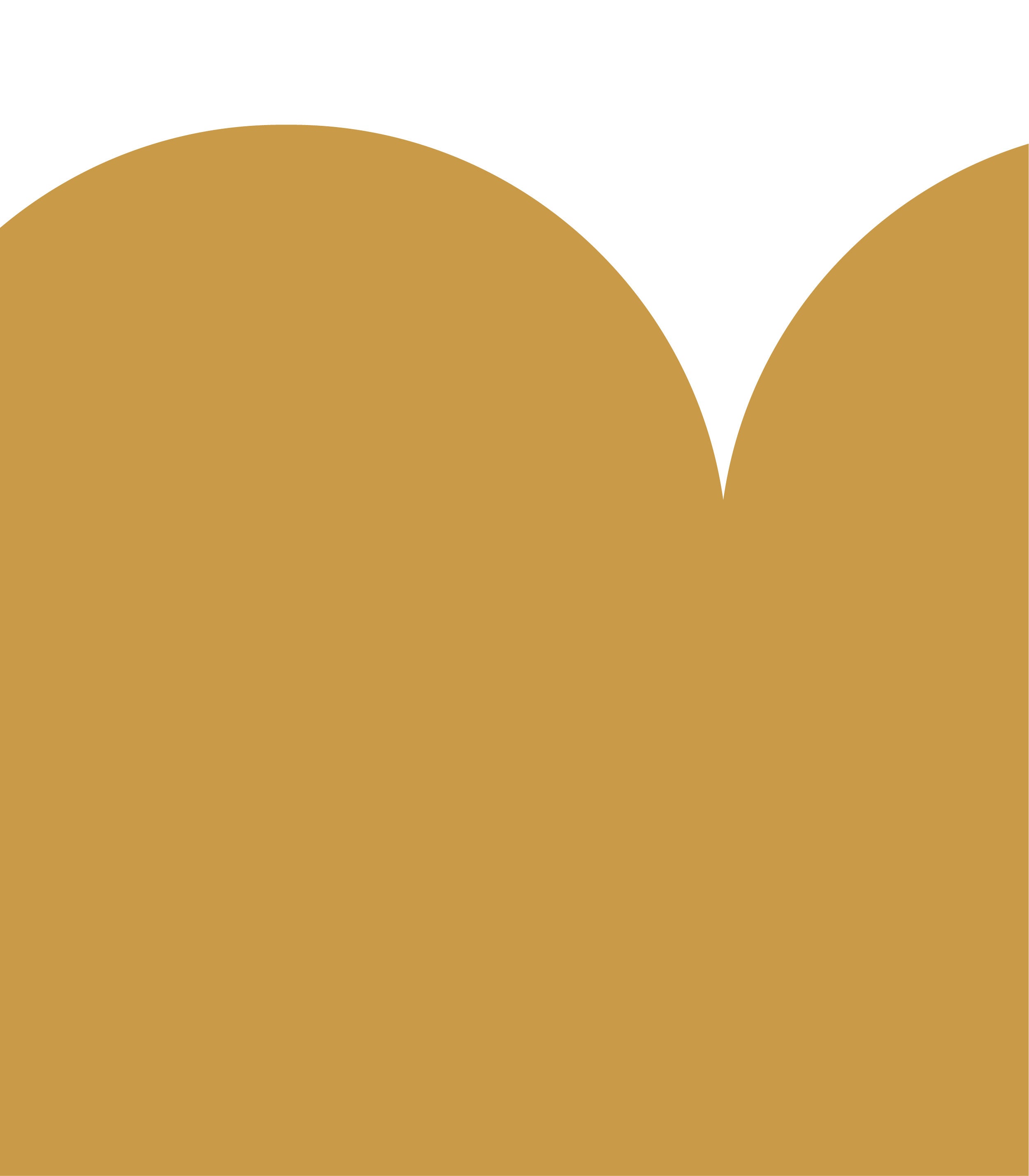 Wainscoting Solid Dark