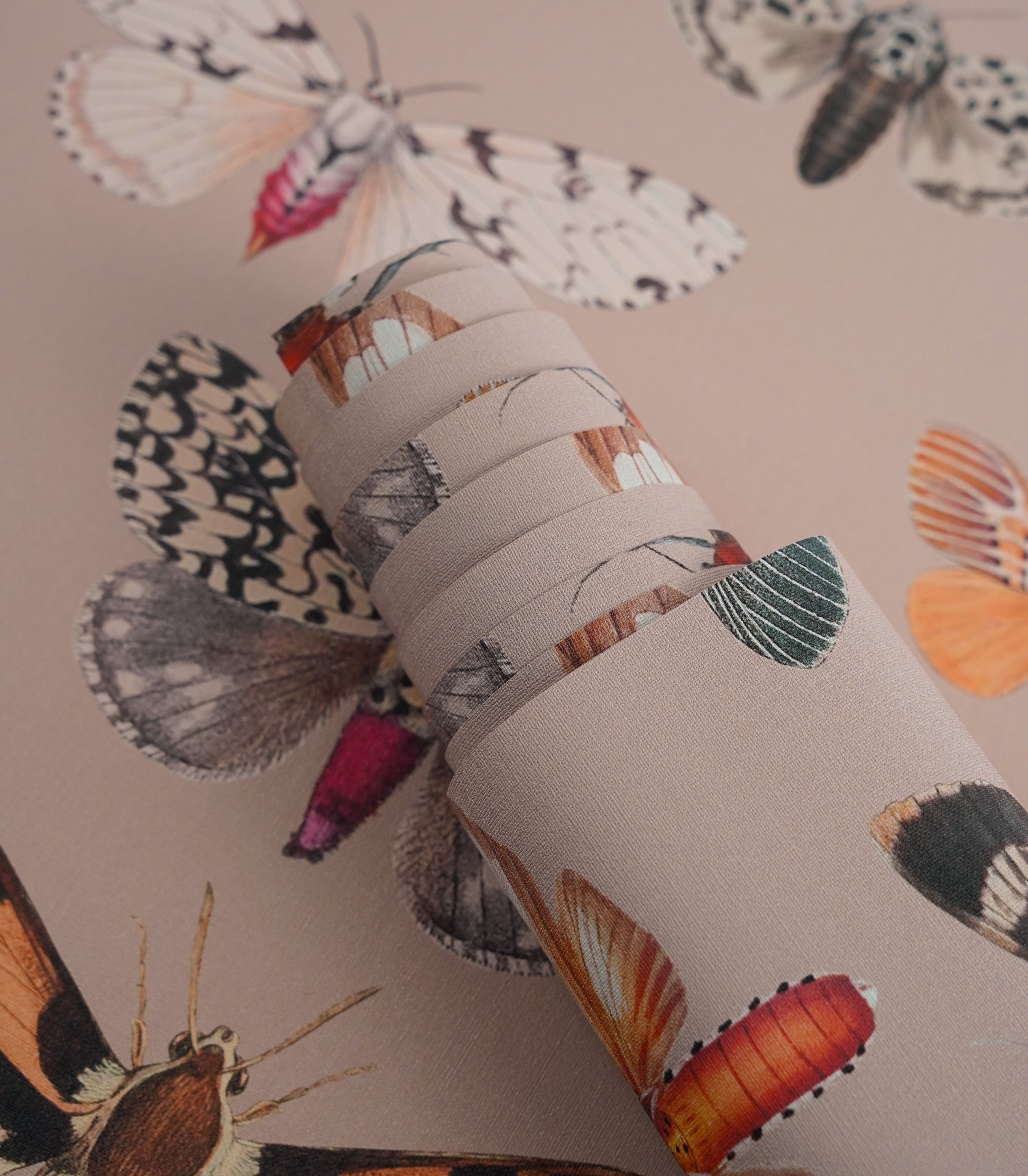 Carta da parati Colorful Butterfly Pink