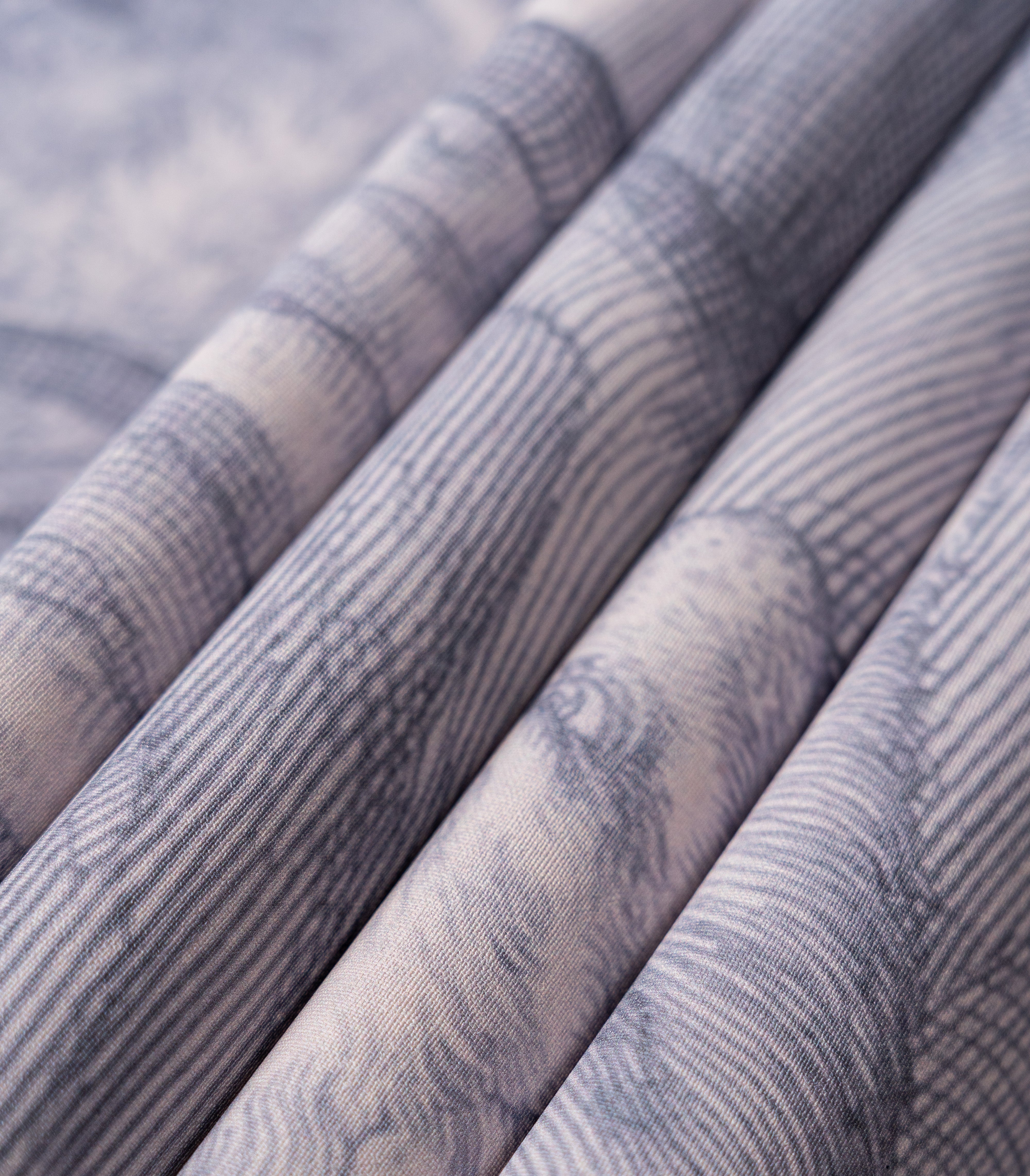 Carta da parati Timeless Trees Blue