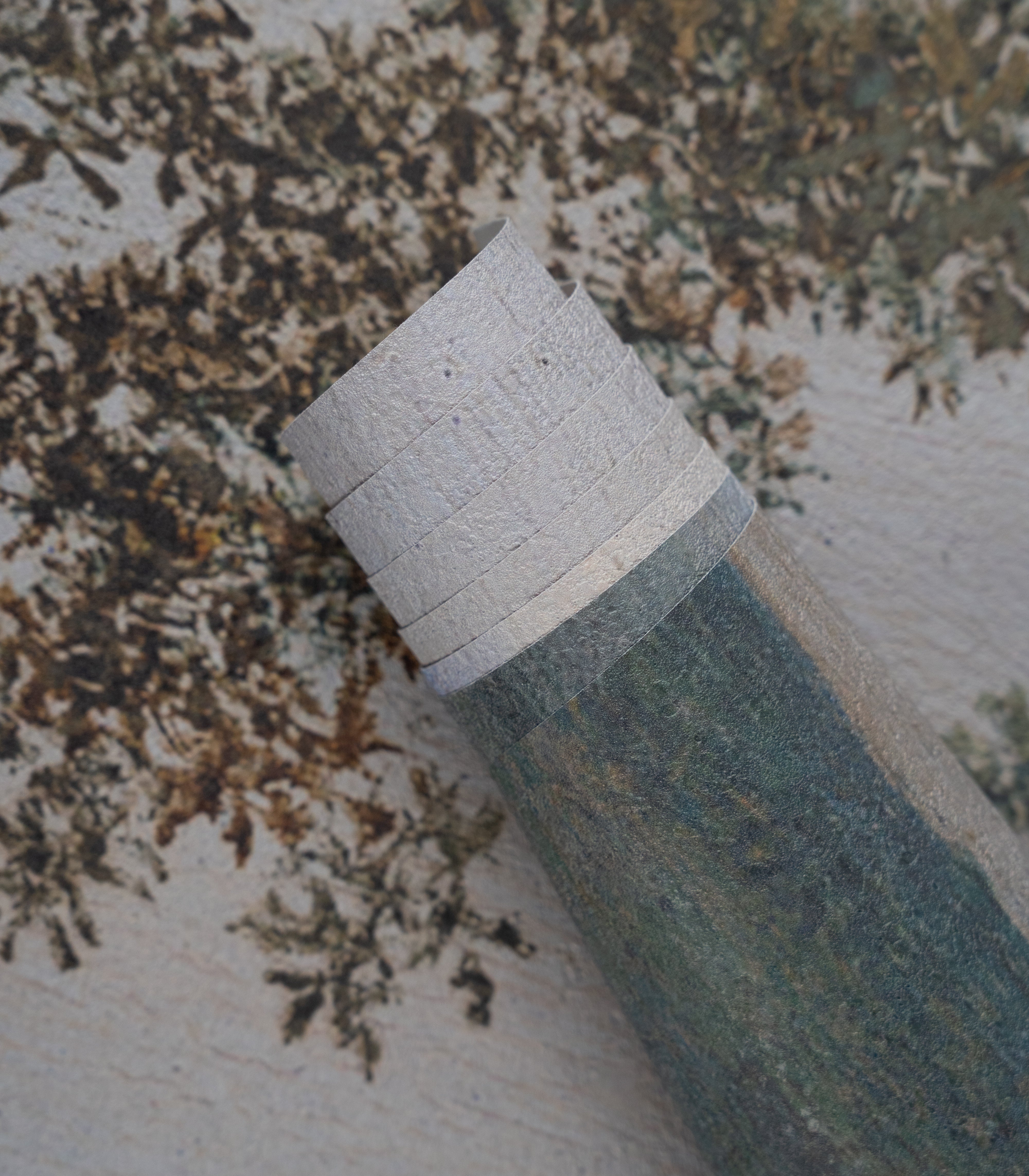 Tapeta Evening Grove